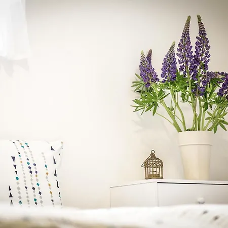 Haus Seematteli Appartamento *